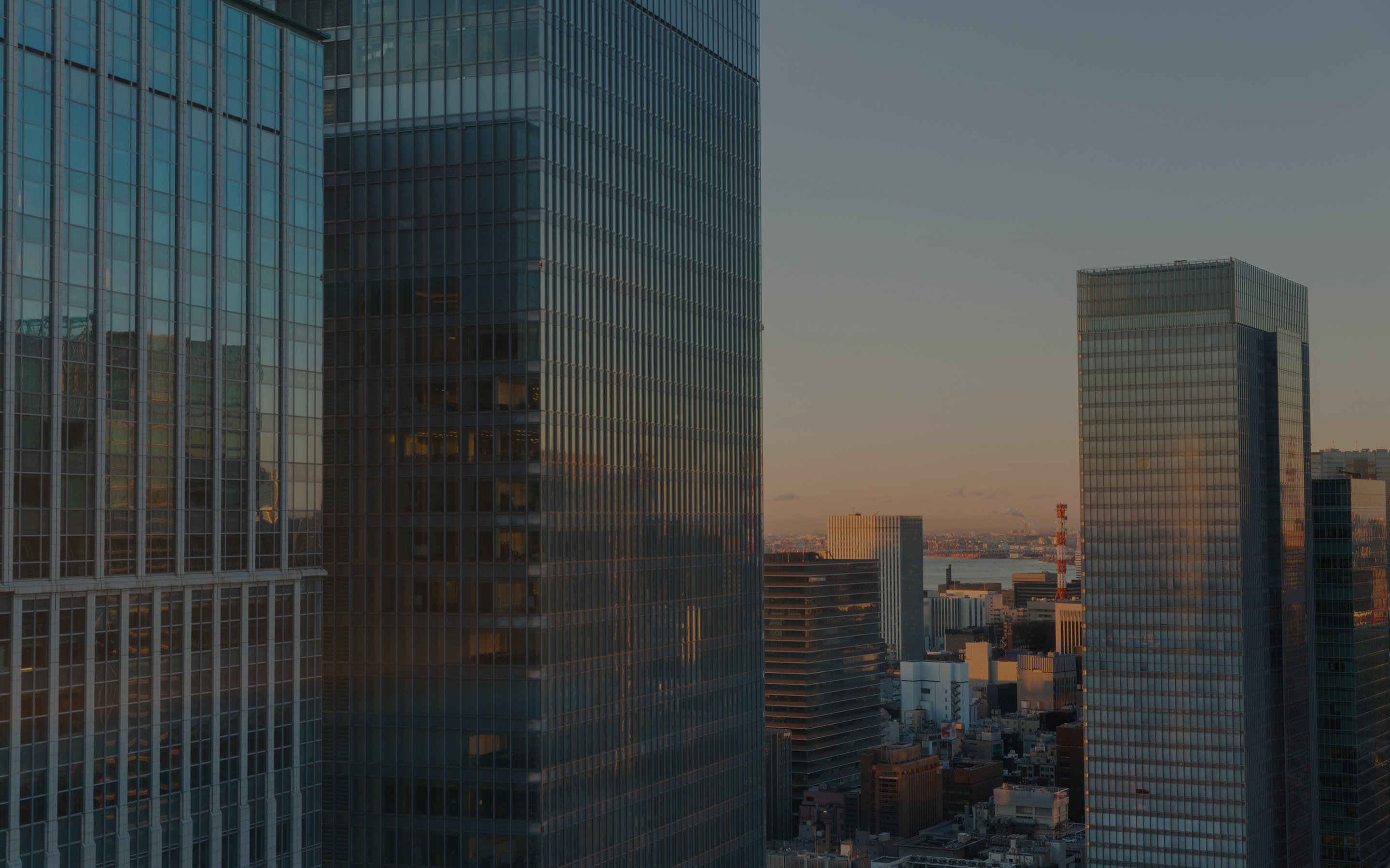 事業内容